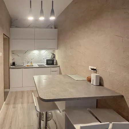 S8 Downtown With Optional Garage Lejlighed